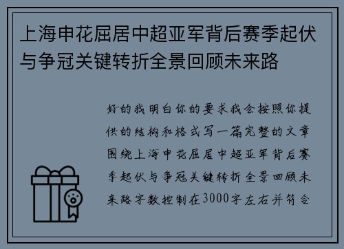 上海申花屈居中超亚军背后赛季起伏与争冠关键转折全景回顾未来路